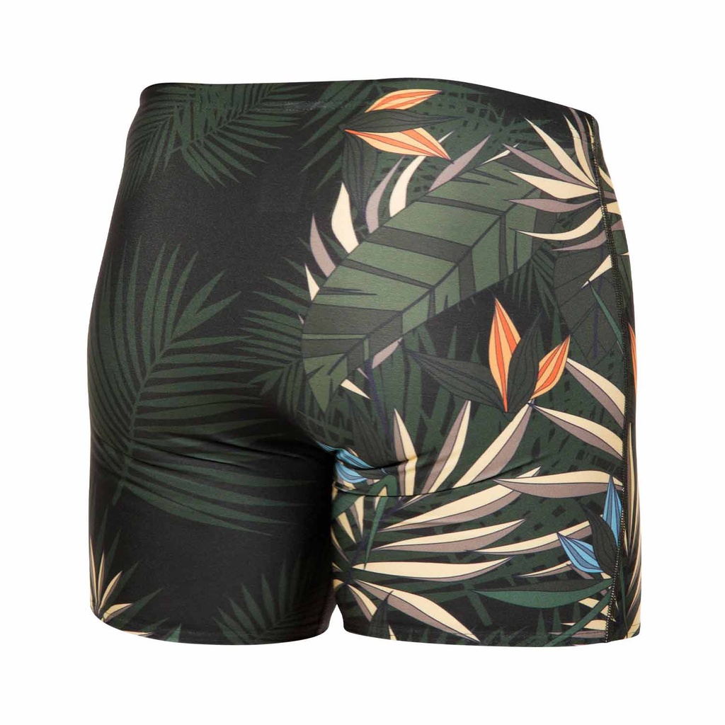 BOXER TROPICAL